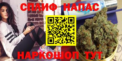 спиды Дубна