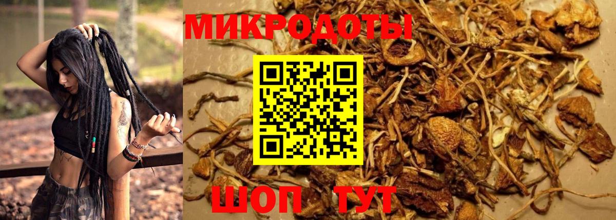 Псилоцибиновые грибы Magic Shrooms  Вход с VPN  Курган 